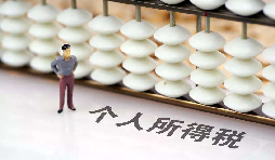 如何在網(wǎng)上打印個人所得稅納稅記錄？