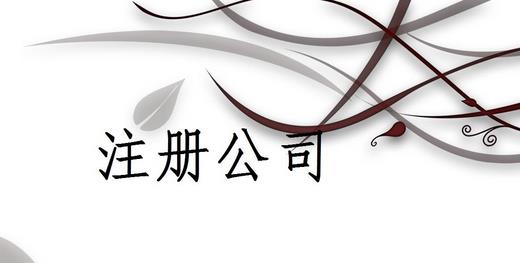 注冊(cè)公司為什么推薦找代理注冊(cè)公司的機(jī)構(gòu)呢？
