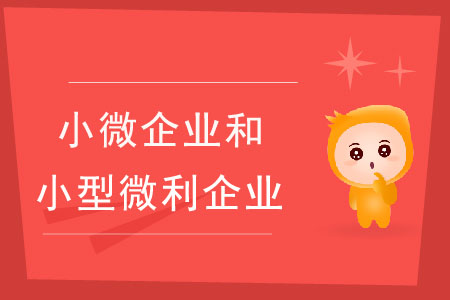 小微企業(yè)和小型微利企業(yè)有什么區(qū)別？