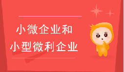 小微企業(yè)和小型微利企業(yè)有什么區(qū)別？
